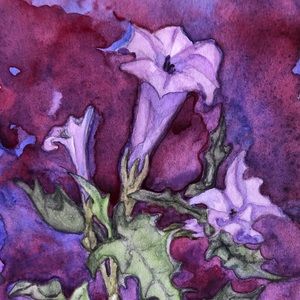 “Jimsonweed” Watercolor Notecard